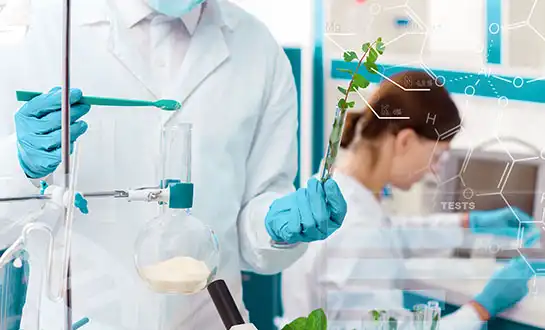 How do plant peptide powders improve nutrient absorption?